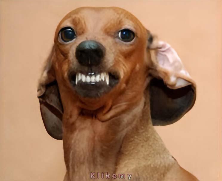 Kiedy fotograf robiący ci zdjęcie mówi, byś się naturalnie uśmiechnął