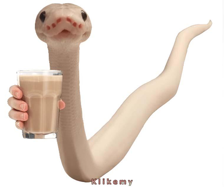 Proszę oto mleko czekoladowe dla ciebie