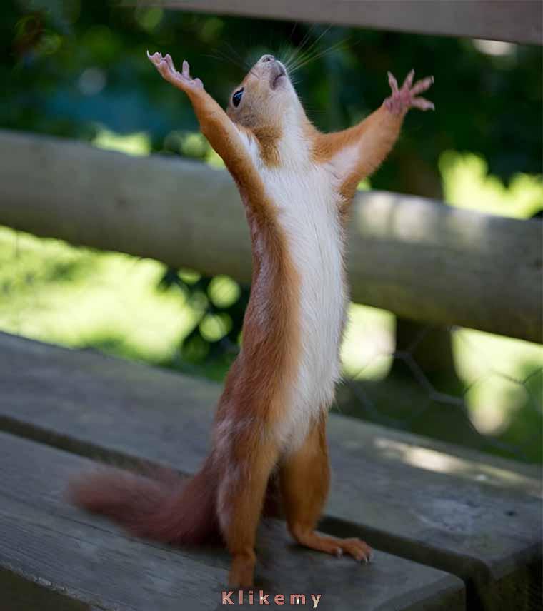 Przygotowujesz się bardzo długo, by wyjść do sklepu