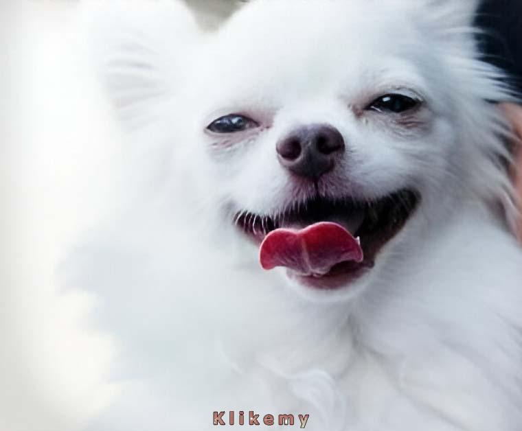 Kiedy zdałeś egzamin, a w ogóle się do niego nie uczyłeś