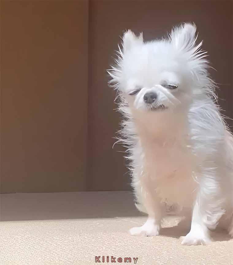 Kiedy długo uczyłeś się na egzamin, a i tak go nie zdałeś