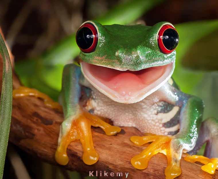 Dobra robota, jestem z Ciebie dumna