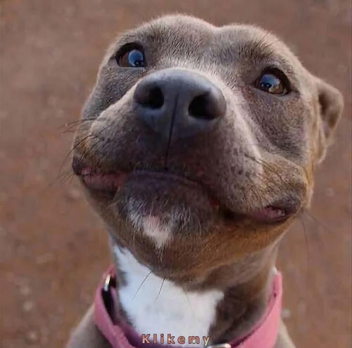 Kiedy klient krzyczy na ciebie, a ty wiesz, że nie masz na nic wpływu