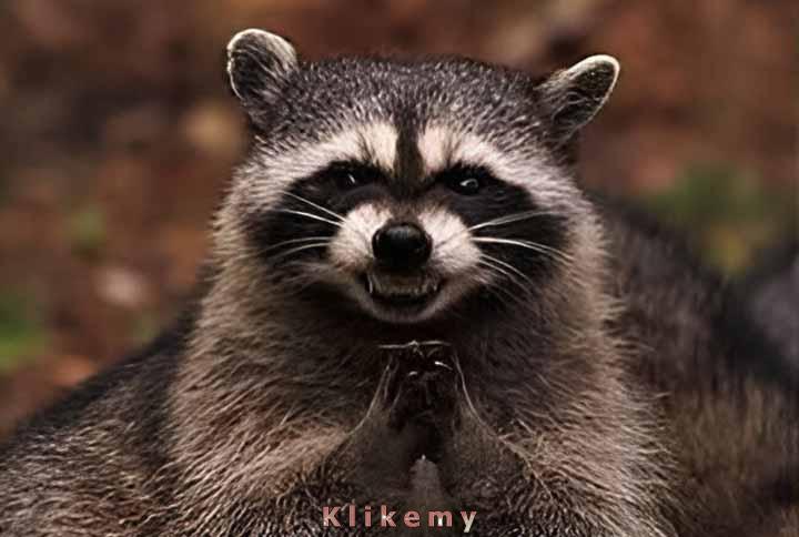 O taaaak! Wszystko idzie zgodnie z planem!