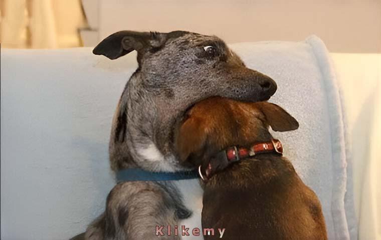 Chyba widzę problem. Masz próchnicę