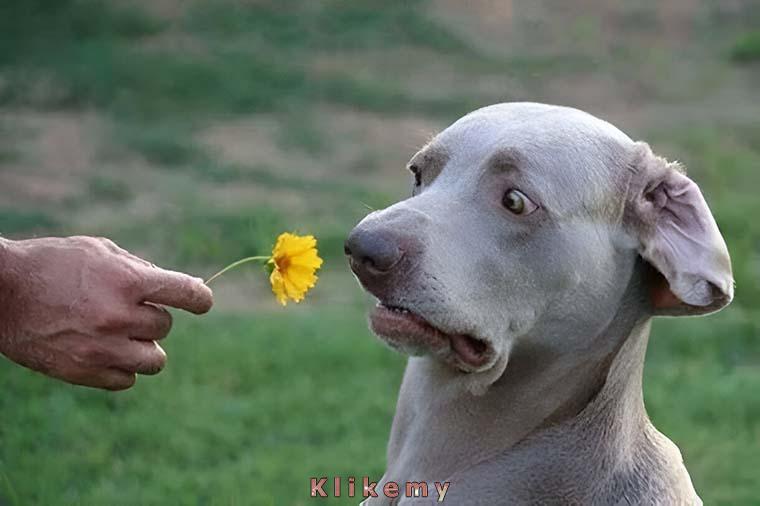 No weź! Przed chwilą na to sikałem