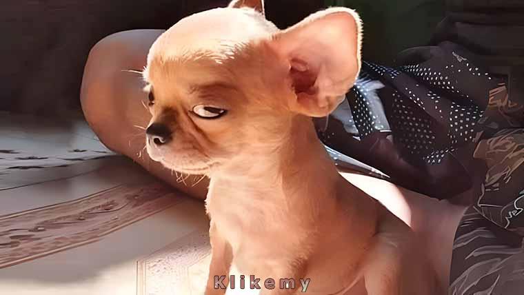 Wątpię, by historia, którą mi opowiadasz była prawdziwa