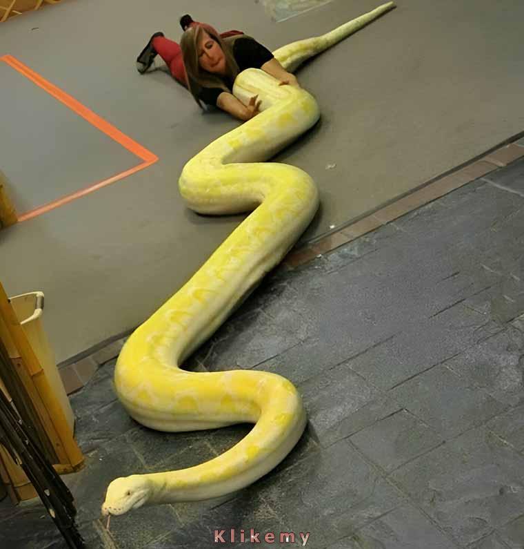 A ty gdzie się wybierasz?