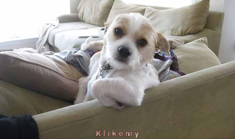 Być może nie jestem partycypantem szeroko pojętego barokowego savoir-vivre'u, tudzież twierdzę, że nie zawsze mam chęć i wolny czas na robienie kupy poza domem