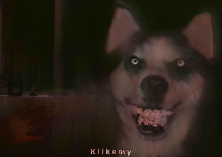 A teraz dasz mi całego kurczaka, którego właśnie upiekłeś