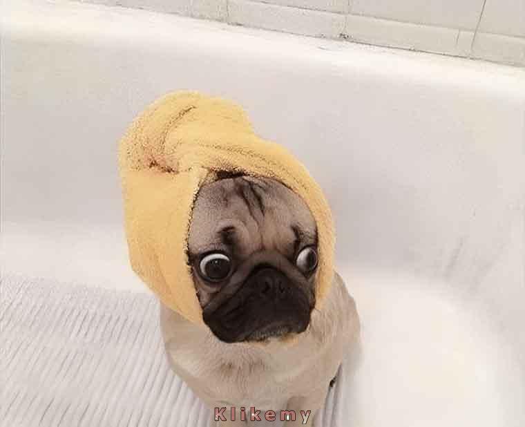 Ty, kiedy otrzymujesz telefon, że znajomi będą już za 5 minut