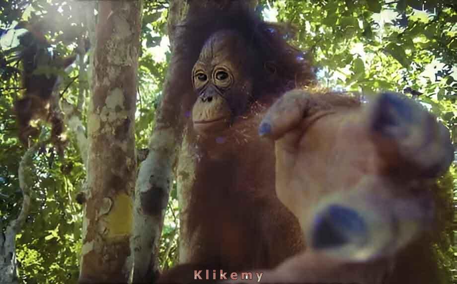 Porzuć nowoczesność