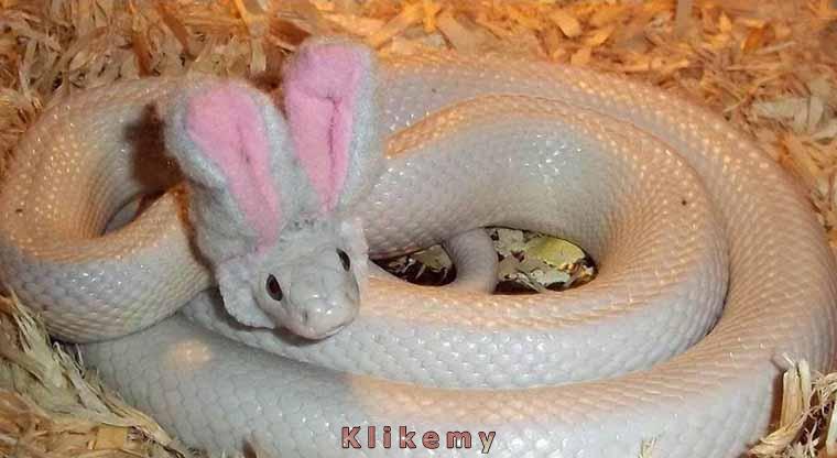 Mówili mi, że mogę być kimkolwiek zechcę