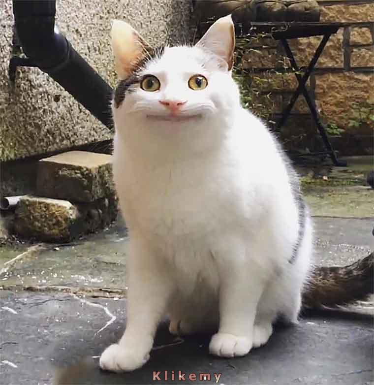 Wkurzony, ale musisz udawać miłego, bo jesteś w pracy