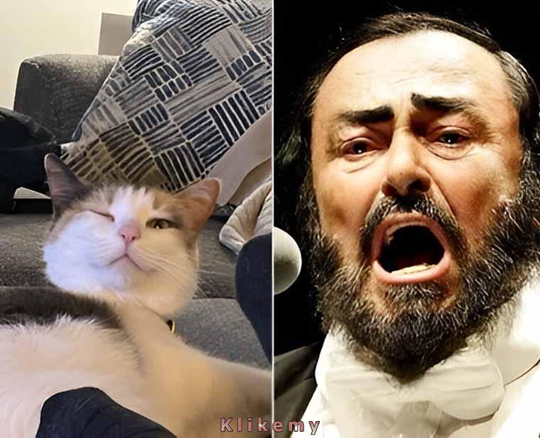 Ona: co się znowu drzesz baranie? Obudzisz kota!