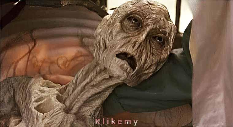 Według mojej mamy tak właśnie będę wyglądać, jak nie zjem posiłku