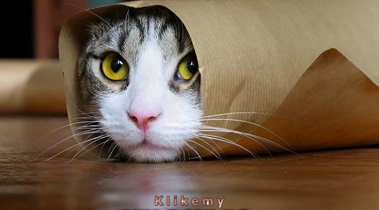 Kiedy uświadamiasz sobie, że już poniedziałek