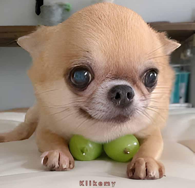 Typowa gwiazda Facebooka