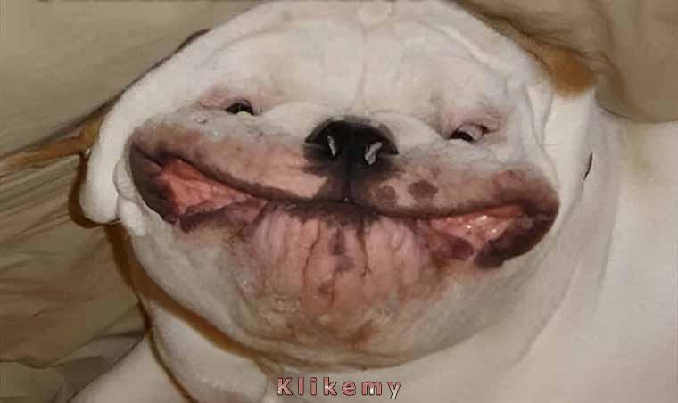 Już się uśmiecham! 