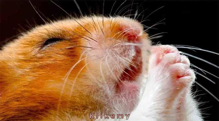 Modlę się za Ciebie