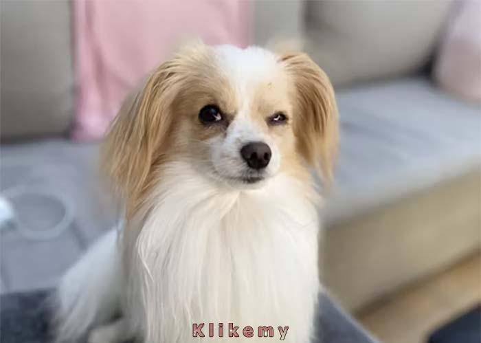 Kiedy ktoś zadaje ci pytanie na tyle głupie