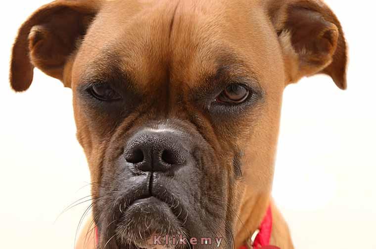 Mam już dość twoich gierek