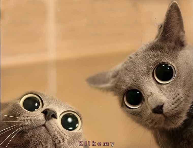 Czy to aby na pewno było mleko w proszku?