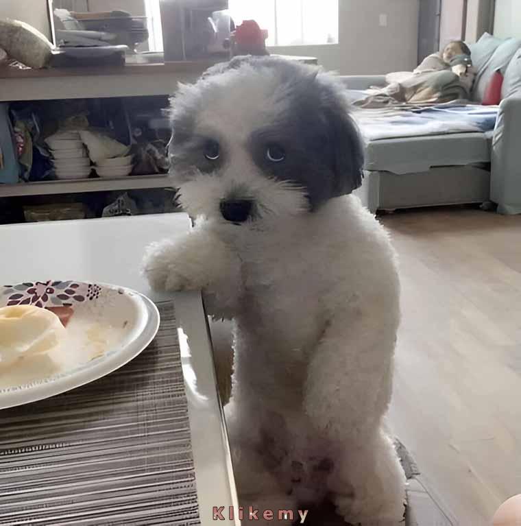 Wezmę sobie mały kawałek, nikt się nawet nie zorientuje