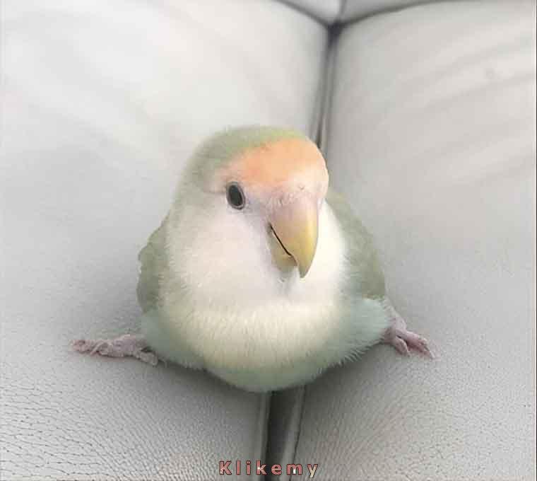 Niestety oba miejsca są zajęte