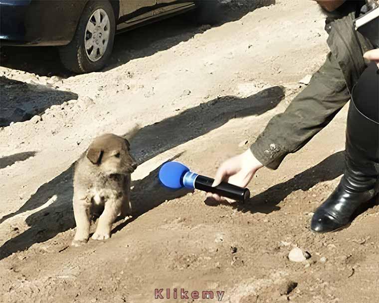Nie sądzę, by podstawy filozoficzne oświecenia miały jakikolwiek sens