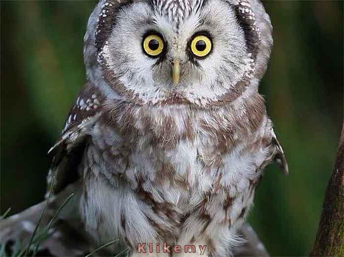 Cooo? To miało być na dzisiaj?