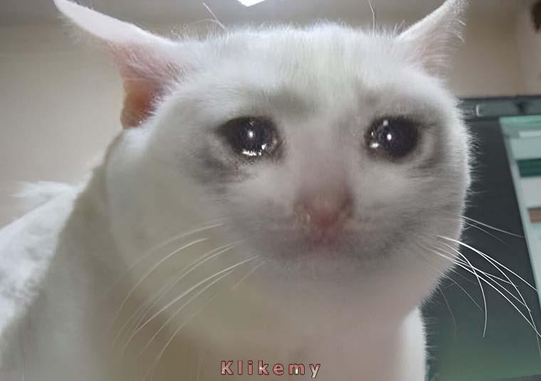 Kiedy widzisz w lokalu swoich najlepszych znajomych i przyłączasz się do nich