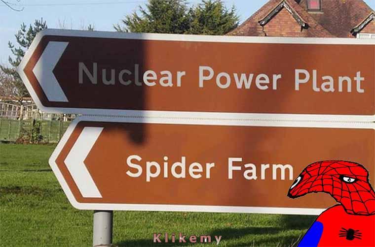 〈 elektrownia atomowa<br />
〈 hodowla pająków