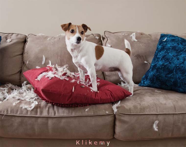 Myślałem, że nie wrócisz i spanikowałem