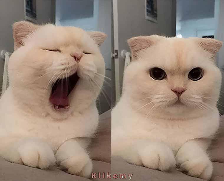 Ja cały dzień | Ja o 3 w nocy