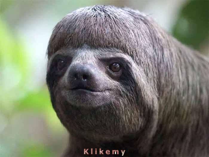 Mam ciekawą osobowość niczym doktor Jekyll i pan Hyde