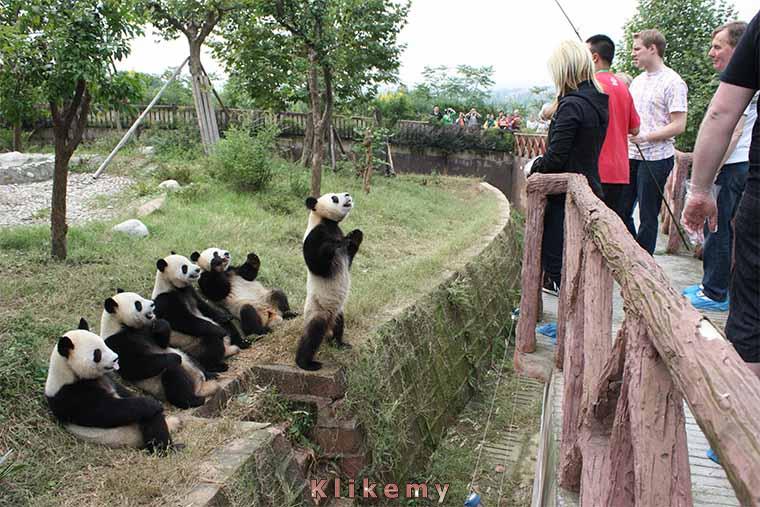 Kiedy musisz posłać negocjatora, by załatwił polepszenie warunków