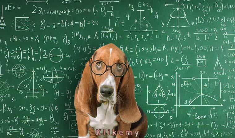 Wykonałem wszystkie potrzebne obliczenia