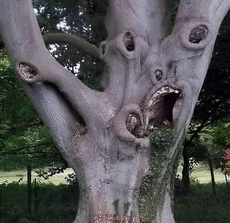 To drzewo pożre twoje dzieci