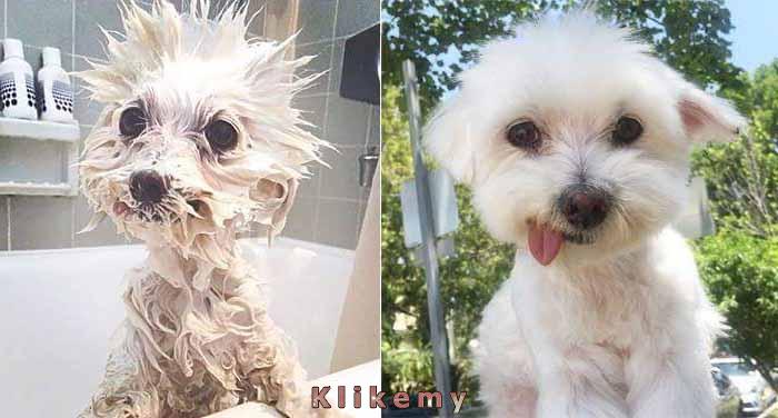 Pensja netto vs pensja brutto