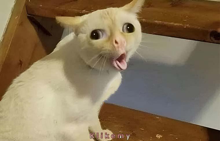 Kiedy uczysz się trudnych zgłosek na lekcji francuskiego