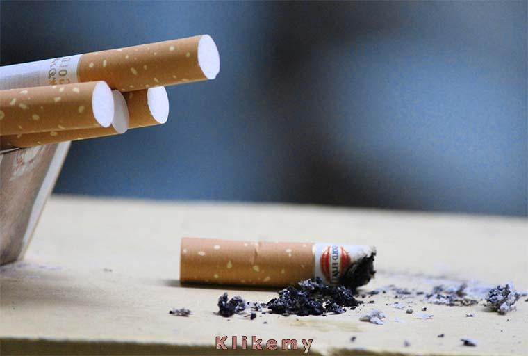 Metoda oparta na roślinnych, naturalnych składnikach obiecuje wszystkim osobom alternatywę dla szkodliwego wapowania