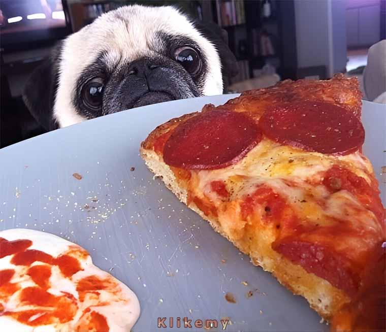 Te chwile, w których tęsknota za nieosiągalnym podsycana jest plasterkami salami