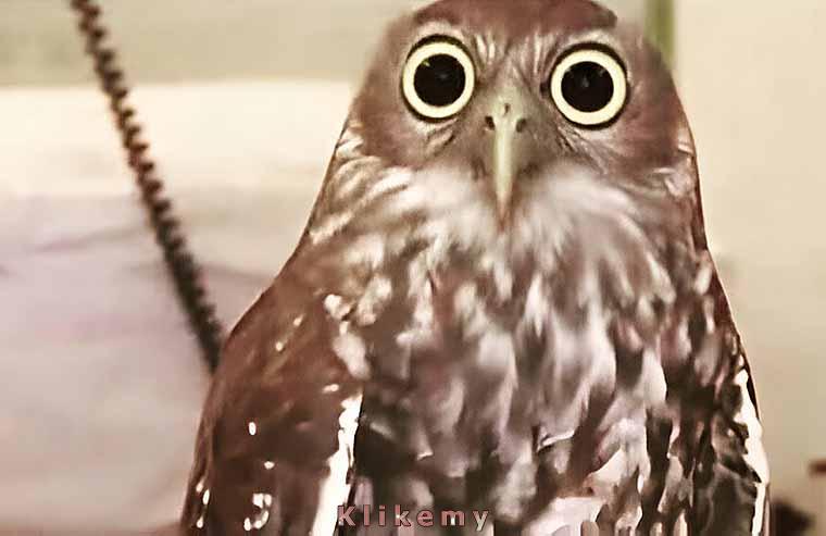 Być może miewam czasem ataki lęku