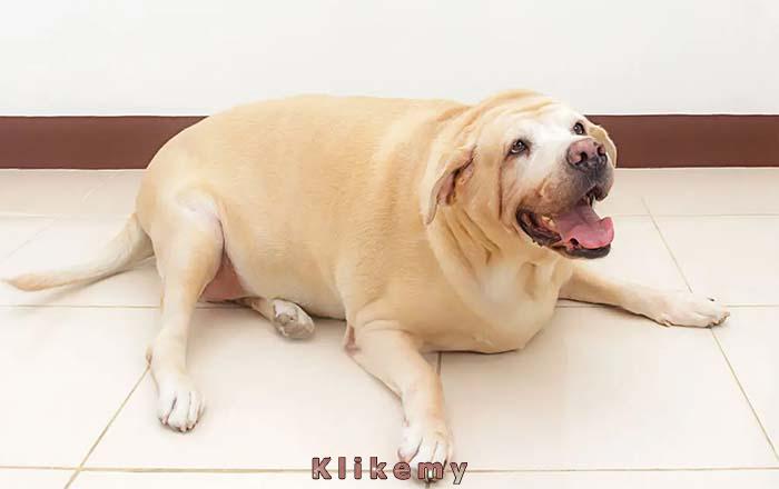 Kiedyś jadłeś będąc smutny