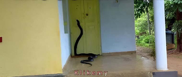 Przepraszam, że przeszkadzam