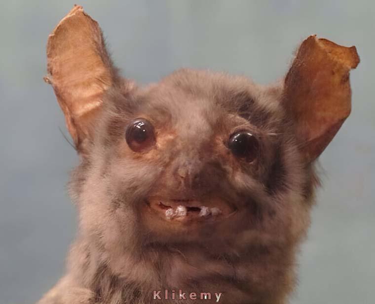 Kiedy robisz sobie selfiaka bez makijażu