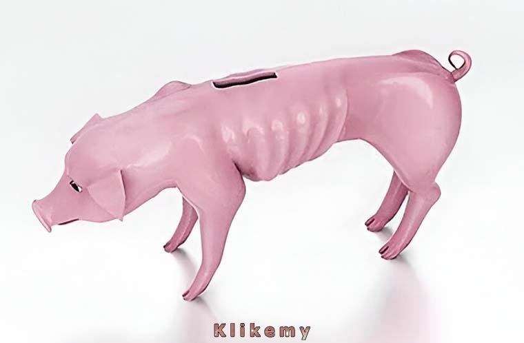 Skarbonka przeciętnego Polaka